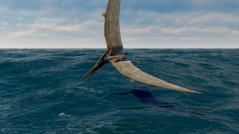 プテラノドンは飛べない？驚きの真実と翼竜の謎に迫る