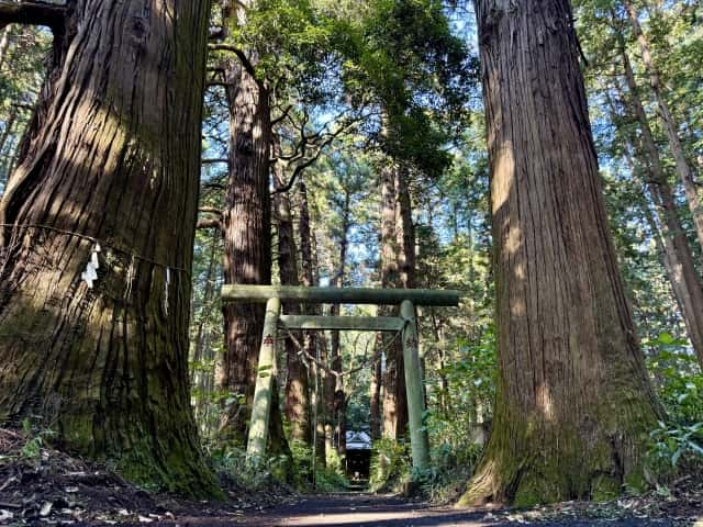 青山神社（茨城県）