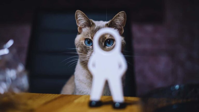 ずるい人が得をする理由とその対処法 - 真面目な人が知るべき心理的秘訣