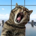 攻撃的な猫