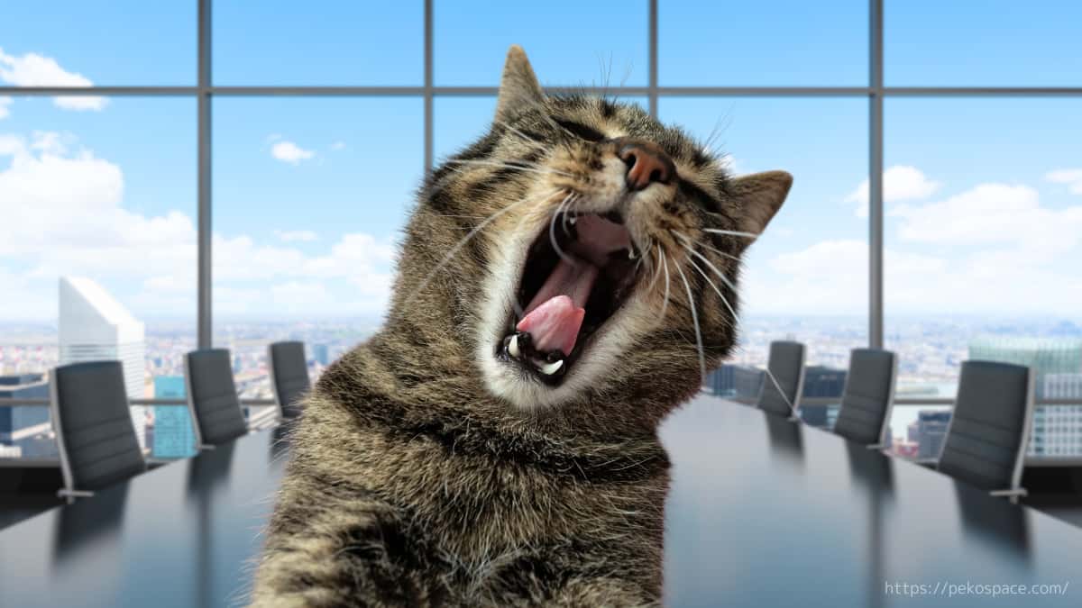 攻撃的な猫